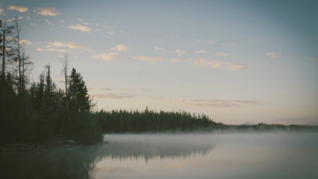 Во Владимирской области расчистят реку Райну