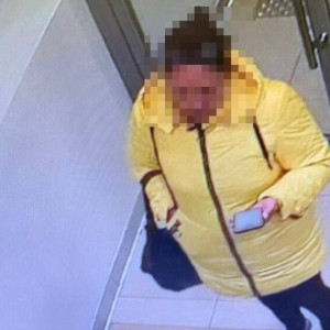 Во Владимирской области задержали телефонную мошенницу