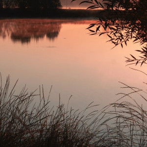 Мэрия Владимира отменила торги, предполагающие уничтожение пруда в парке ДТЮ