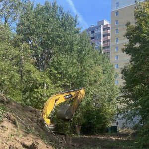 Владимирцы возмутились вырубкой деревьев рядом с парком «Дружба»