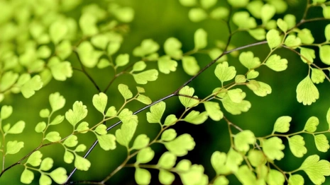 Во Владимире потеплеет до +12