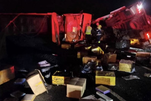 В Гороховецком районе перевернулась фура с кормом для кошек