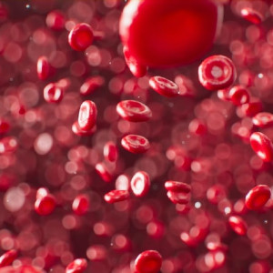 Плазмацентр во Владимире построят к 2025 году