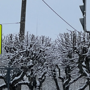 Во Владимирской области водитель сбил 68-летнего пешехода