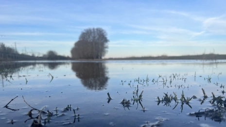 Единственную дорогу между поселками в Московской и Владимирской областями затопило в паводок
