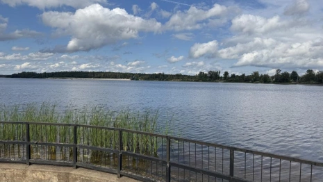 Самые грязные реки в России находятся во Владимирской области