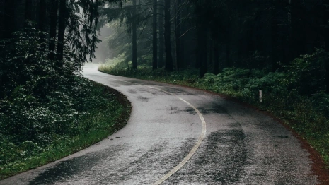 Во Владимирской области похолодает до +10 градусов