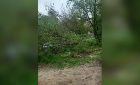 Жители Владимира пожаловались на состояние остановки на Балакирева