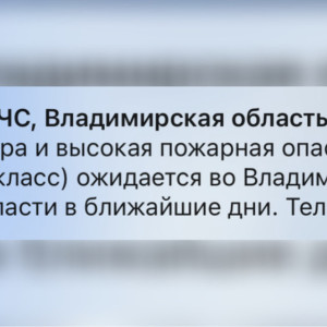 Во Владимирской области объявили высокую пожарную опасность из-за жары