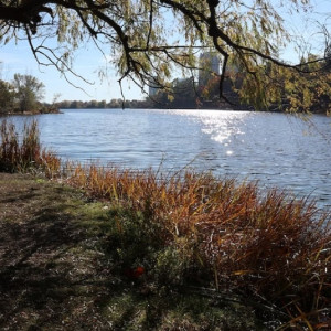 Во Владимирской области от воды освободились пять участков