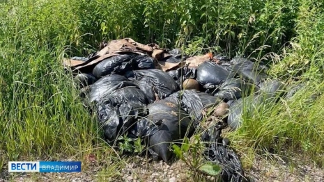 Свалку из трупов баранов под Александровом сожгут