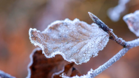 В сентябре во Владимирской области похолодает до 0 градусов