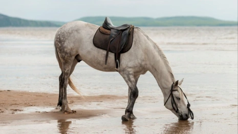 Святой Акакий, или Купальница. Что можно и нельзя делать 20 мая
