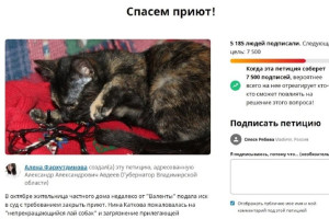Петицию в защиту владимирского приюта «Валента» подписали больше 5 тыс. человек