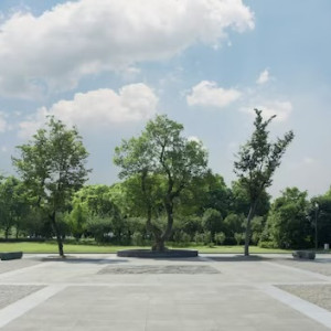 Во Владимире начали искать подрядчика для благоустройства Курсантского сквера