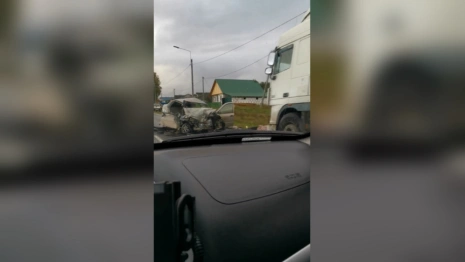 В Меленковском районе мать и дочь погибли в ДТП с фурой