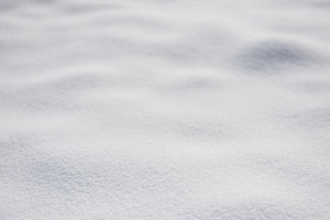 Во Владимирской области за зиму выпало 79 см снега