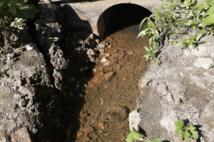 Минприроды заинтересовалось загрязнением Рпени во Владимире