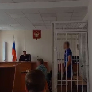 Двоих братьев арестовали за избиение мужчины в сквере в Собинке