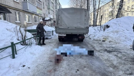 Во Владимире доставщик мебели получил 2 года колонии за смертельное ДТП с бабушкой-пешеходом