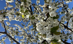 Прогноз погоды во Владимире и области на 4 мая 2026 года