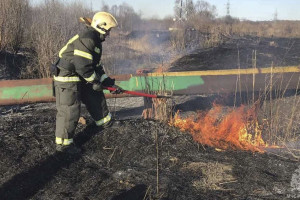 Во Владимире около завода металлоизделий загорелась трава