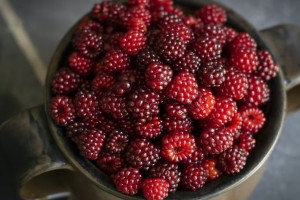 Во Владимирской области подозреваемую в воровстве цыганку задержали по горячим следам