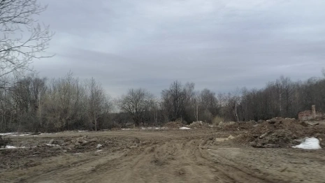 В Кольчугинском районе на сельхоз землях выросла огромная стихийная свалка