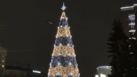 Во Владимире поставили новогоднюю ель у облсуда