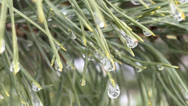 Прогноз погоды во Владимирской области на 18 ноября 2025 года