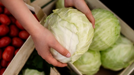 Евлампий Зимоуказатель: что можно и нельзя делать 23 октября