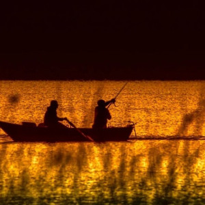 Во Владимирской области запретили ловить рыбу