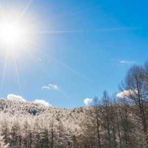 Во Владимирской области в первые дни весны придет потепление