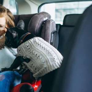 Во Владимире на Растопчина в ДТП пострадал 6-летний ребенок