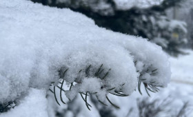 Февраль во Владимирской области закончится оттепелью