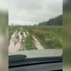 Власти предложили жителям деревни под Кольчугино скинуться на ремонт дороги