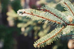 Март 2024 года стал десятым подряд рекордно теплым месяцем на Земле