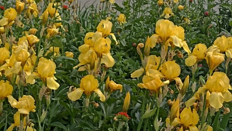 День Варфоломея и Варнавы: что можно и нельзя делать 24 июня
