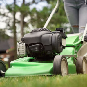 Владимирским дачникам запретят косить траву в обед и шуметь по ночам