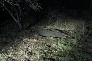 Жительница Петушинского района задушила мигранта веревкой и закопала труп на участке