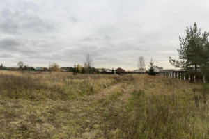 Бизнесмен из Московской области попал под следствие за махинации с землей в Кольчугино