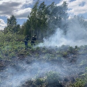 У деревни под Камешково пожар охватил 500 квадратов травы