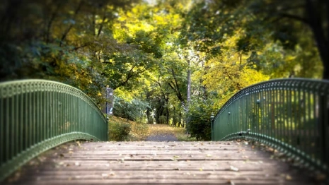 Во Владимирской области вне очереди благоустроят городской сквер и памятник Долгорукому 