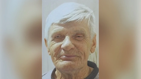 Во Владимирской области пропал 74-летний мужчина с белым ведром 