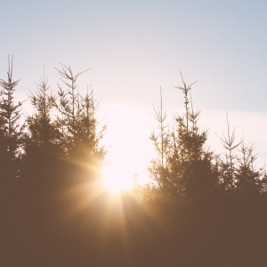 Прогноз погоды во Владимирской области на 18 апреля 2025 года