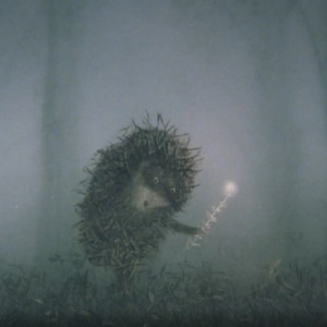 Во Владимирской области стартовал фестиваль мультфильмов