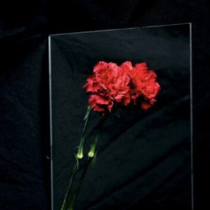 Во Владимире на съемной квартире нашли разложившийся труп мужчины