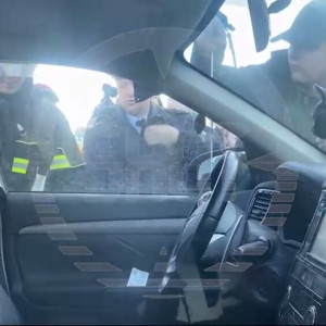 В центре Москвы развернули операцию по спасению кота-заложника