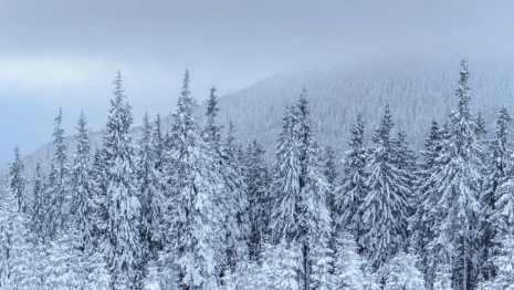 Во Владимире нашли 56-летнюю женщину в розовом домашнем костюме
