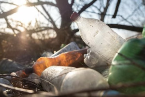 В Киржаче прокуроры через суд добились вывоза мусора с дач